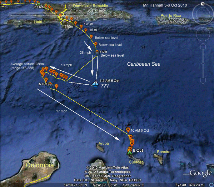 osprey migration route